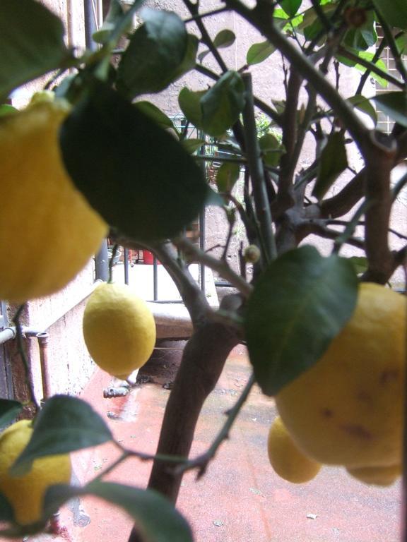 Al Portoncino Appartamento Roma